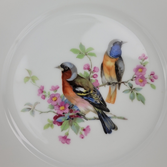 (4) Vtg JKW Western Germany Fine Porcelain Bird Plates - Picture 3 of 16